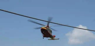 Incidente mortale a Vertova, uomo schiacciato da albero caduto