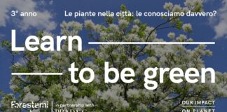 Torna Forestami Academy in partnership con Gruppo Prada