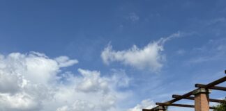 Sottocasa, fino a giovedì 17 a Porta Genova