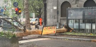 Maltempo, il Sindaco di Sesto San Giovanni ringrazia la Protezione Civile