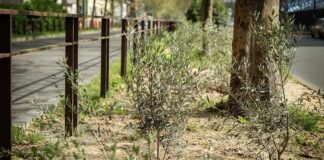 Milano Green Circle 90/91, concluso primo tratto Circonvallazione