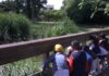 Bambini: centri estivi a tema natura a Milano con Koinè