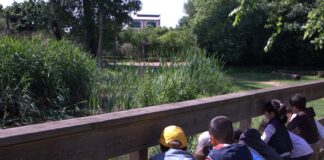 Bambini: centri estivi a tema natura a Milano con Koinè