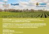 Sogemi a Tuttofood, cooking show martedì 6