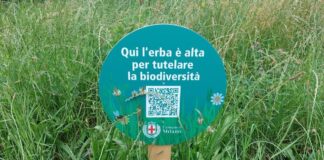 Raddoppiate aree verdi a sfalcio ridotto