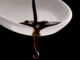 AgeCore incontra i produttori di aceto balsamico a Tuttofood 2025