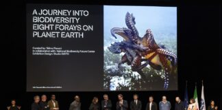 Inequalities, inaugurata la 24ª Esposizione Internazionale in Triennale