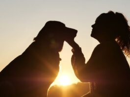 Dog Lovers Day, sabato 17 a Parco Sempione