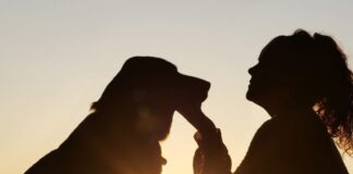Dog Lovers Day, sabato 17 a Parco Sempione