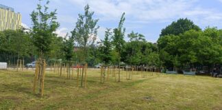 Bosco Forestami al Villaggio Barona