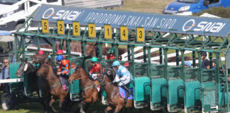 Premio Ambrosiano e Premio Paolo Mezzanotte a San Siro Ippodromo San Siro