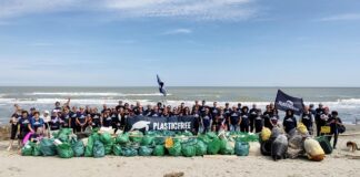 Plastic Free, rimossi oltre 4mila chili di rifiuti