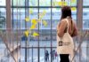 Sustainability Manager, ESG Analyst e Renewable Energy Specialist: le nuove carriere della transizione ecologica