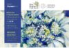 Festa del Solstizio d’Estate agli Orti Botanici di Brera e Città Studi dell’Università Statale