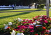 Varese Turf & Sport posticipa la Conferenza Stampa Klaynn Trionfa alle Oaks d’Italia Tattersalls all’Ippodromo di Milano