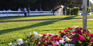 Varese Turf & Sport posticipa la Conferenza Stampa Klaynn Trionfa alle Oaks d’Italia Tattersalls all’Ippodromo di Milano