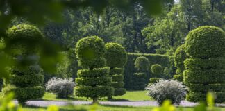 Appuntamento in Giardino domenica 8 in Villa Arconati