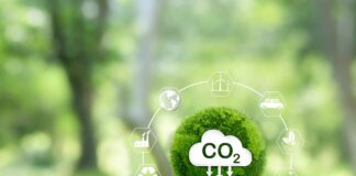 Transizione energetica, Regione partecipa a PlanToAct