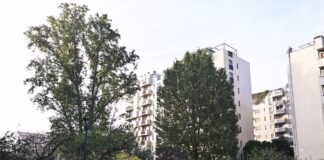 Rigenerazione urbana, adottato il Piano Natta Nord al Gallaratese