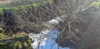 Inquinamento Roggia Culturana, presa di posizione di Legambiente