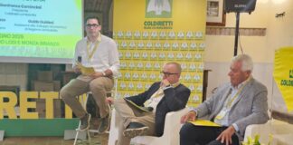 Agrivoltaico, no di Coldiretti, la produzione di cibo resta la priorità