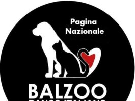 Circa 55.000 i cani abbandonati ogni anno