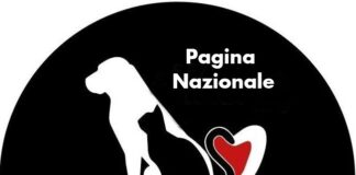 Circa 55.000 i cani abbandonati ogni anno