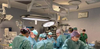 Mandibola ricostruita con parte della fibula