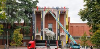Triennale, esposto l’elefante della Namibia di Jacopo Allegrucci