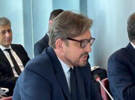 Auto, Guidesi: passo avanti ma non basta