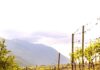 ViVa 2025, prima edizione: la Valtellina da bere, da vivere, da amare
