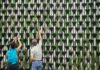 Italia a tutto green: 8 italiani su 10 sempre più interessati alla sostenibilità