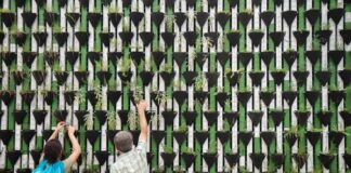 Italia a tutto green: 8 italiani su 10 sempre più interessati alla sostenibilità