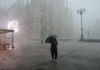 Maltempo, cade albero e uccide donna