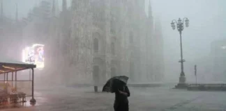 Maltempo, cade albero e uccide donna