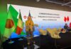 Expo Osaka 2025: Microcredito, un’esperienza di successo per l’Italia