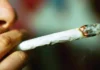 Cannabis, tutti i rischi, anche danni psichici