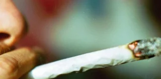 Cannabis, tutti i rischi, anche danni psichici