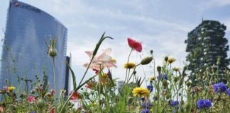 Piano Aria e Clima, il primo monitoraggio
