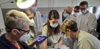 Virus contro batteri superresistenti, la terapia fagica del Sacco