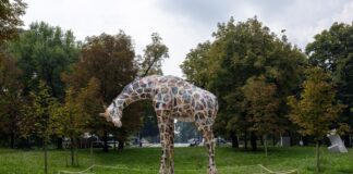 Triennale accoglie la Giraffa di Allegrucci