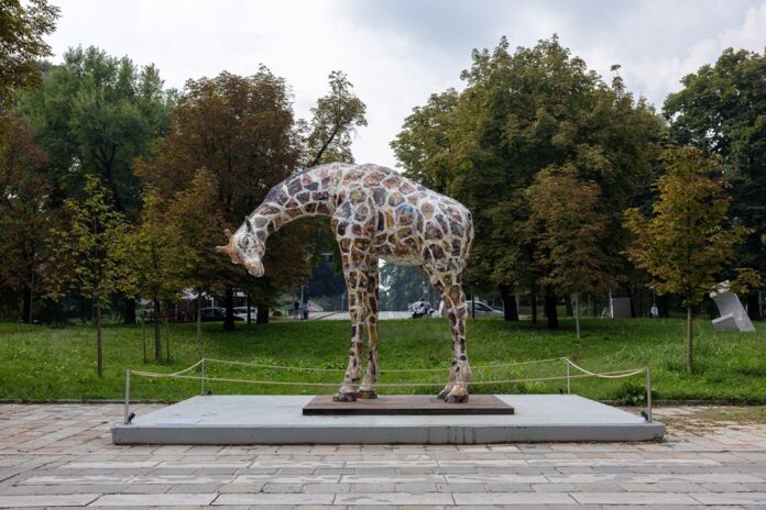 3. Giraffa_Allegrucci_foto Carola Di Clemente - GDI STUDIO