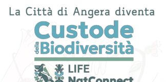Patto per la Biodiversità, domenica 14 ad Angera
