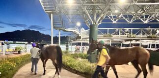 Riconoscimento Ufficiale dal Masaf per le Corse all’Ippodromo di Varese Ippodromo Varese
