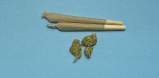 Cannabis determina gravissimi effetti psicotropi
