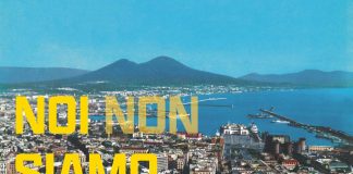 Noi non siamo napoletani, il film
