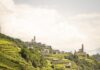 Tutto pronto per ViVa 2025, Vini Valtellina