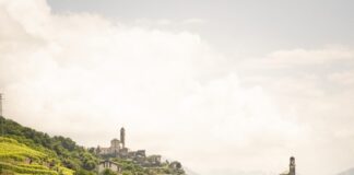 Tutto pronto per ViVa 2025, Vini Valtellina