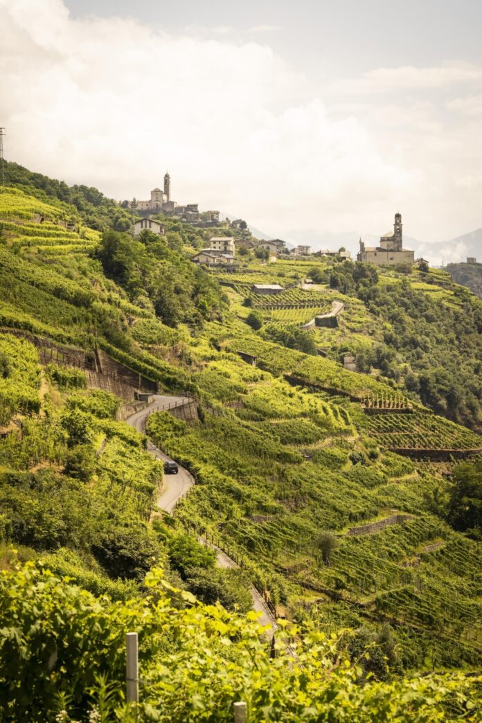 ViVa-Valtellina-12