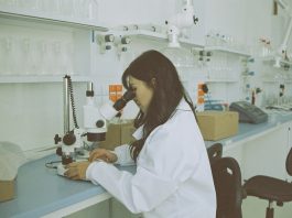 Arte, preziosi e antiquariato, al via corso gratuito